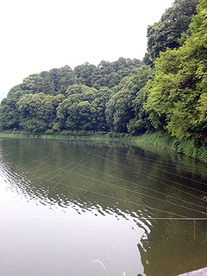 130609-120240s.jpg
