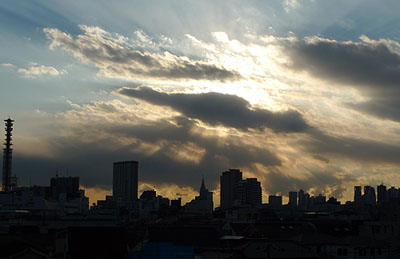 2011-1-25.jpg