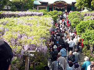 kameido.jpg