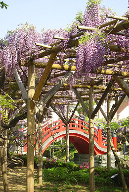 kameido3.jpg